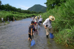 河原しらべ