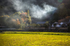 里山と暮らし