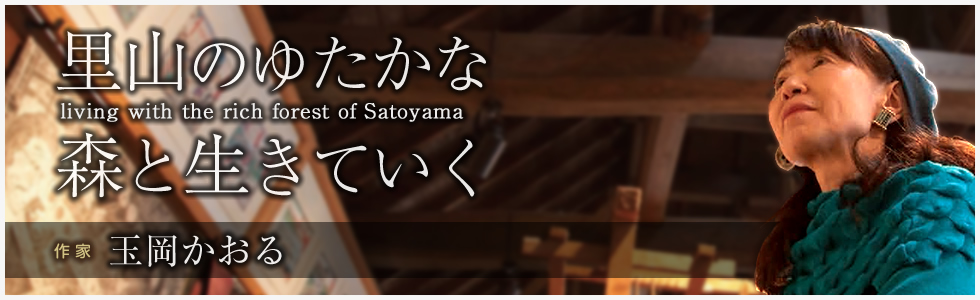 里山の豊かな森と生きていく 玉岡かおる