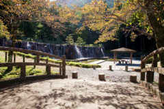 秋の水分かれ公園