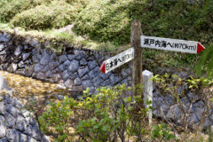 水分かれ公園