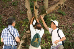 名札付活動（丹波自然友の会）