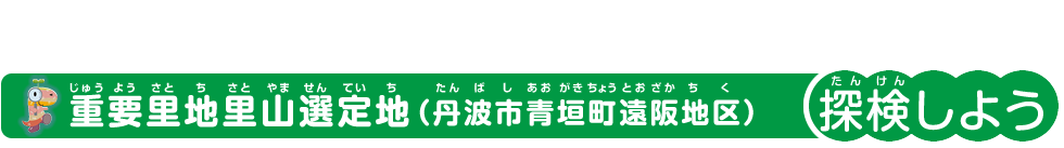 重要里地里山選定地(丹波市青垣遠阪地区)学んでみよう